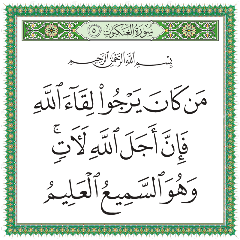 029005 العنكبوت &ndash; القرآن الكريم بدقة غير مسبوقة - جودة عالية جدا