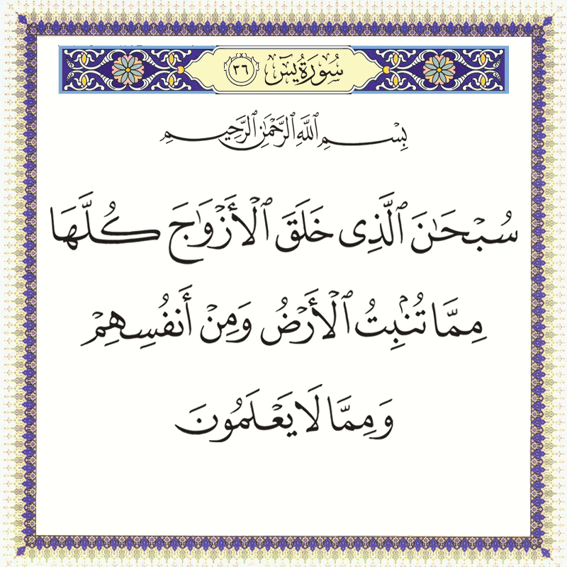 036036 &ndash; القرآن الكريم بدقة غير مسبوقة - جودة عالية جدا