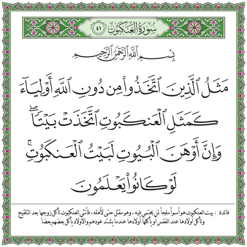 029041 &ndash; القرآن الكريم بدقة غير مسبوقة - جودة عالية جدا