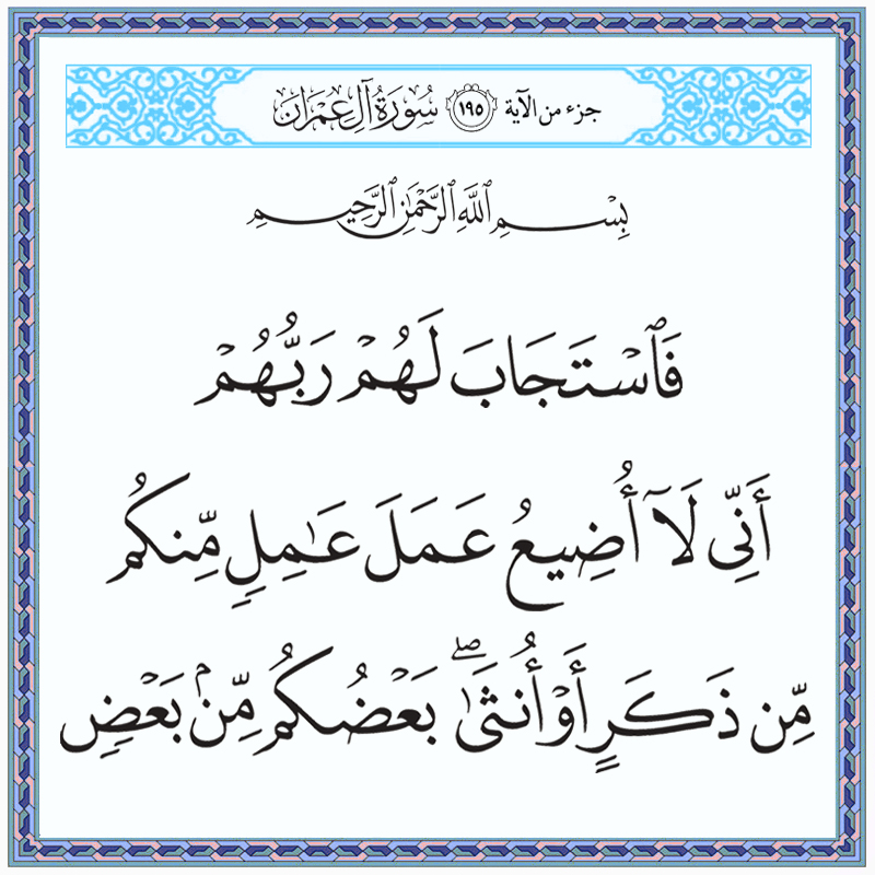 فاستجاب لهم ربهم أني لا أضيع عمل عامل منكم من ذكر أو أنثى 003195 1 003195 – القرآن الكريم بدقة غير مسبوقة - جودة عالية جدا