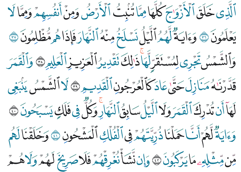 yaseen-05