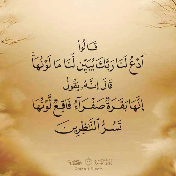 002069 قالوا ادع لنا ربك يبين لنا ما لونها &ndash; القرآن الكريم بدقة غير مسبوقة - جودة عالية جدا