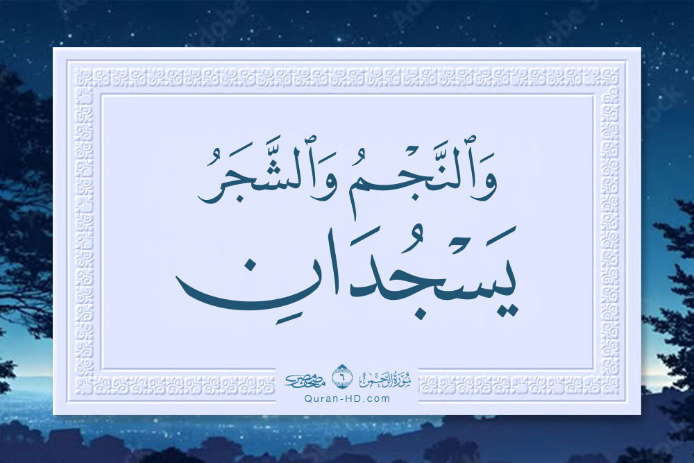 055006 والنجم والشجر يسجدان &ndash; القرآن الكريم بدقة غير مسبوقة - جودة عالية جدا