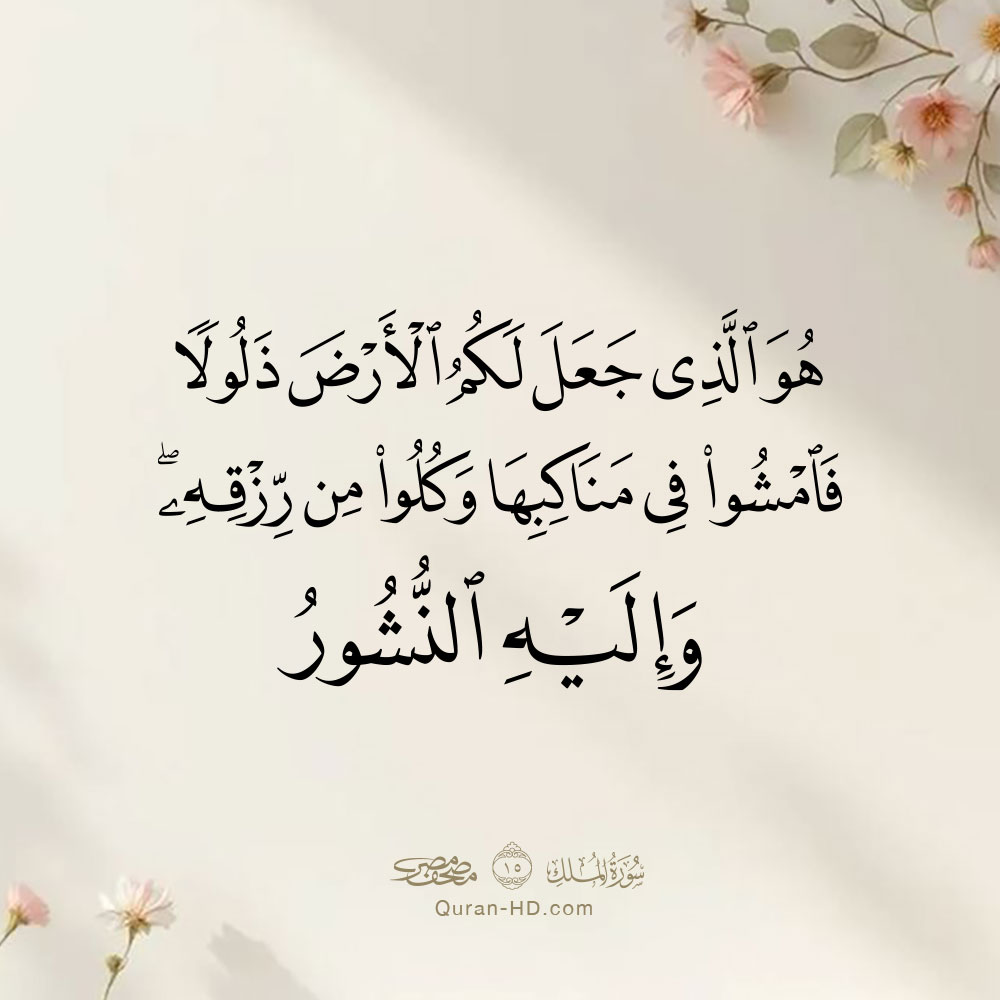 067015 فامشوا في مناكبها وكلوا من رزقه وإليه النشور &ndash; القرآن الكريم بدقة غير مسبوقة - جودة عالية جدا